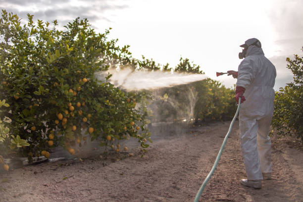 Trusted Tabor City, NC Pest Control Experts